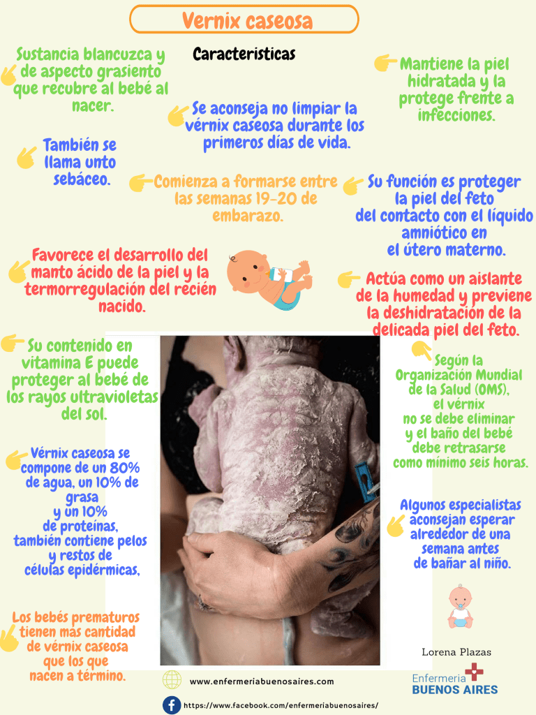 Vérnix caseosa - Infografía