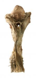 Piezas anatómicas de la morgue judicial 5 1w