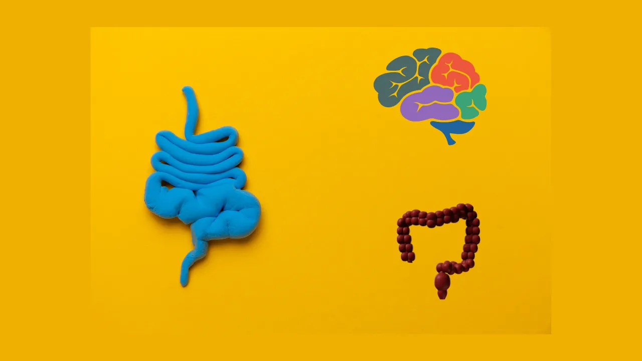 Autismo y los Intestinos ¿El autismo podría tener una conexión con los intestinos? 5 Autismo y los Intestinos