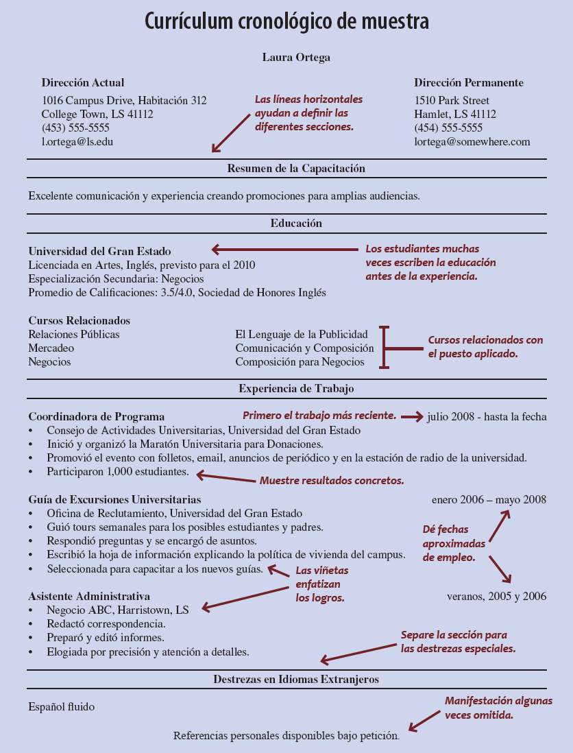 El Curriculum perfecto