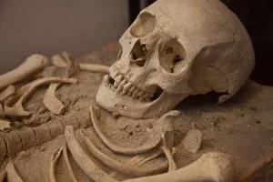 Antropología social