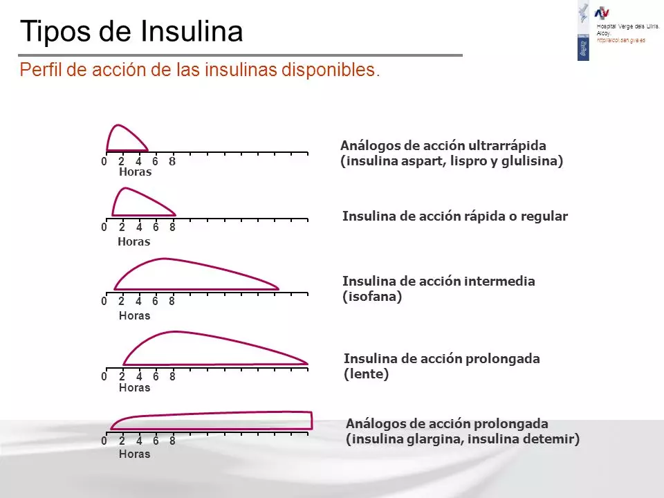 Tipos de Insulina Nombres 5 Tipos