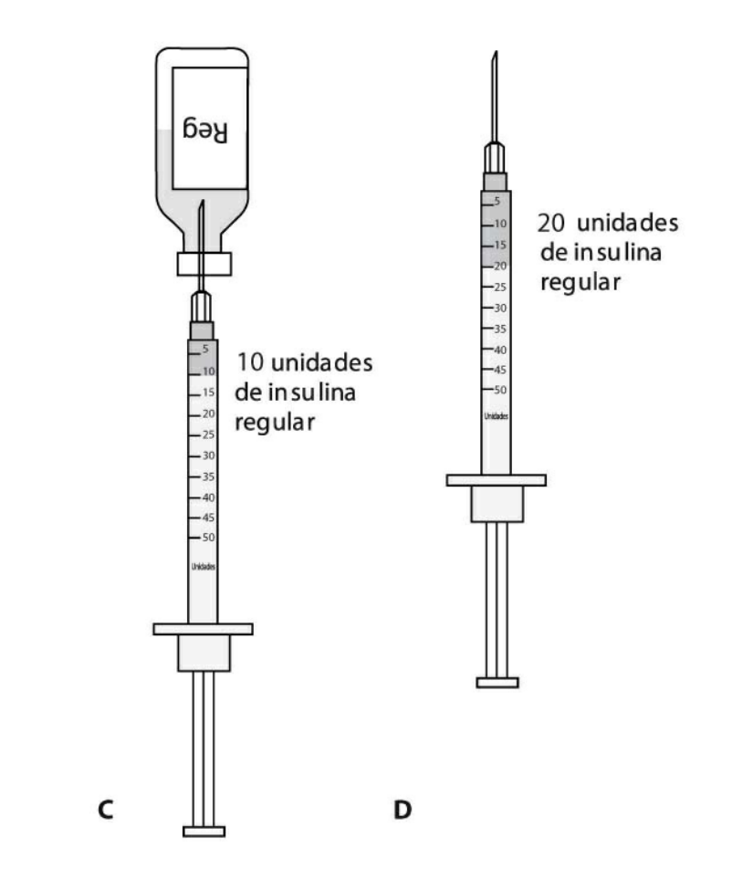 Conceptos claves de la insulina