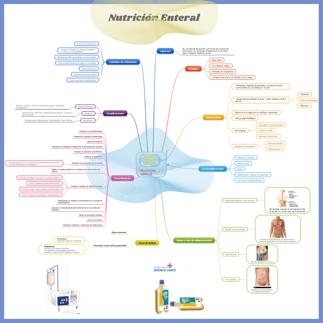 ¿Qué es la Nutrición Enteral? 6 ¿Qué es la Nutrición Enteral?
