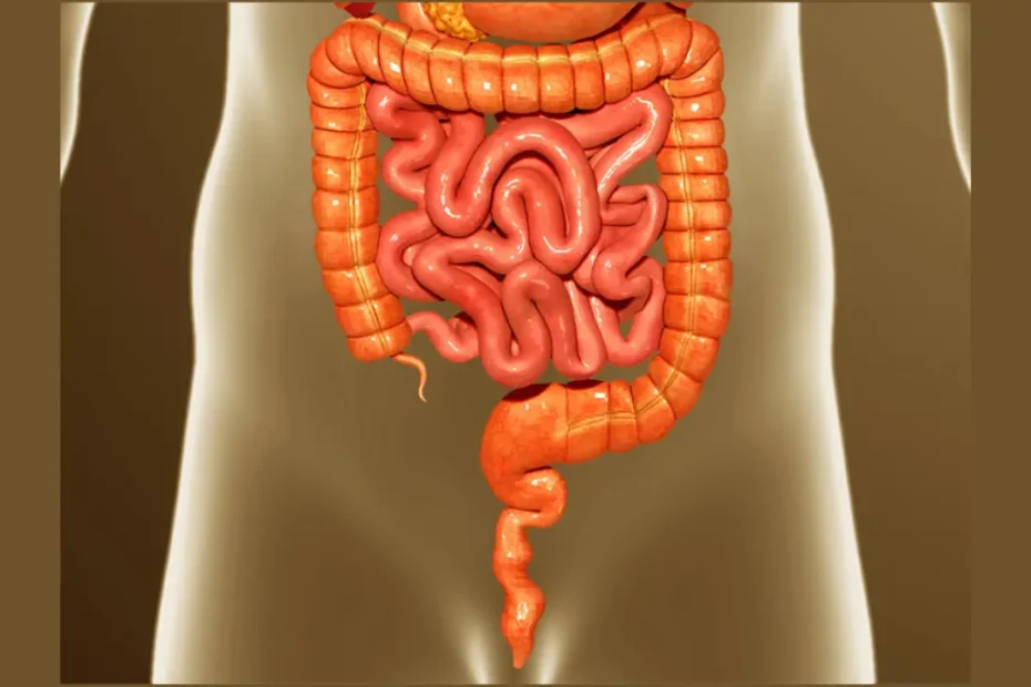 Inflamación Abdominal