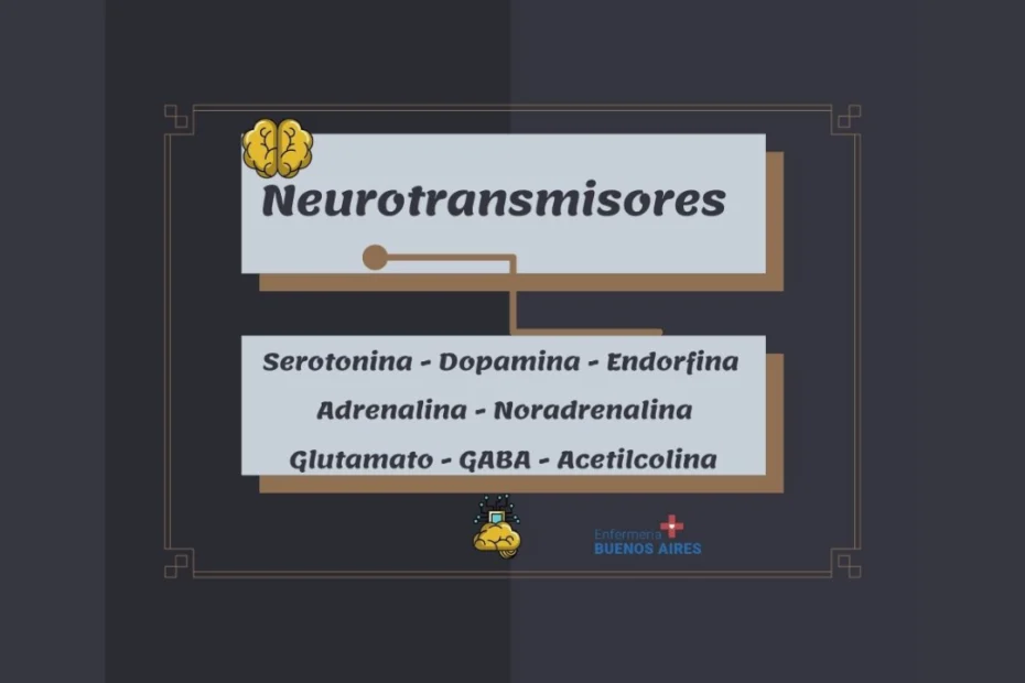 Neurotransmisores