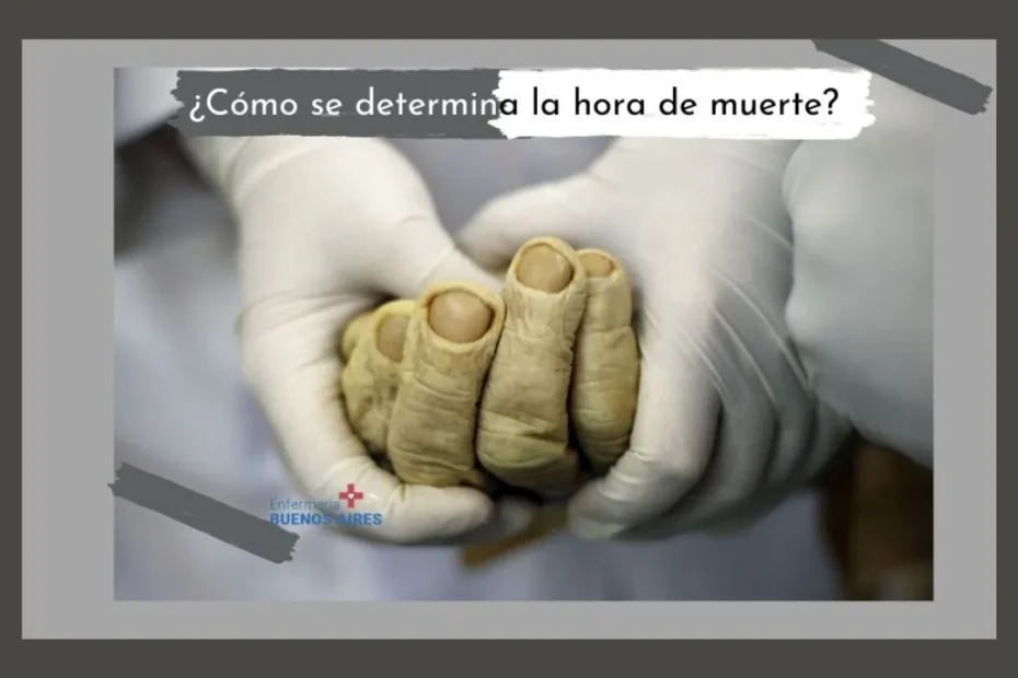 Cómo se determina la hora de muerte