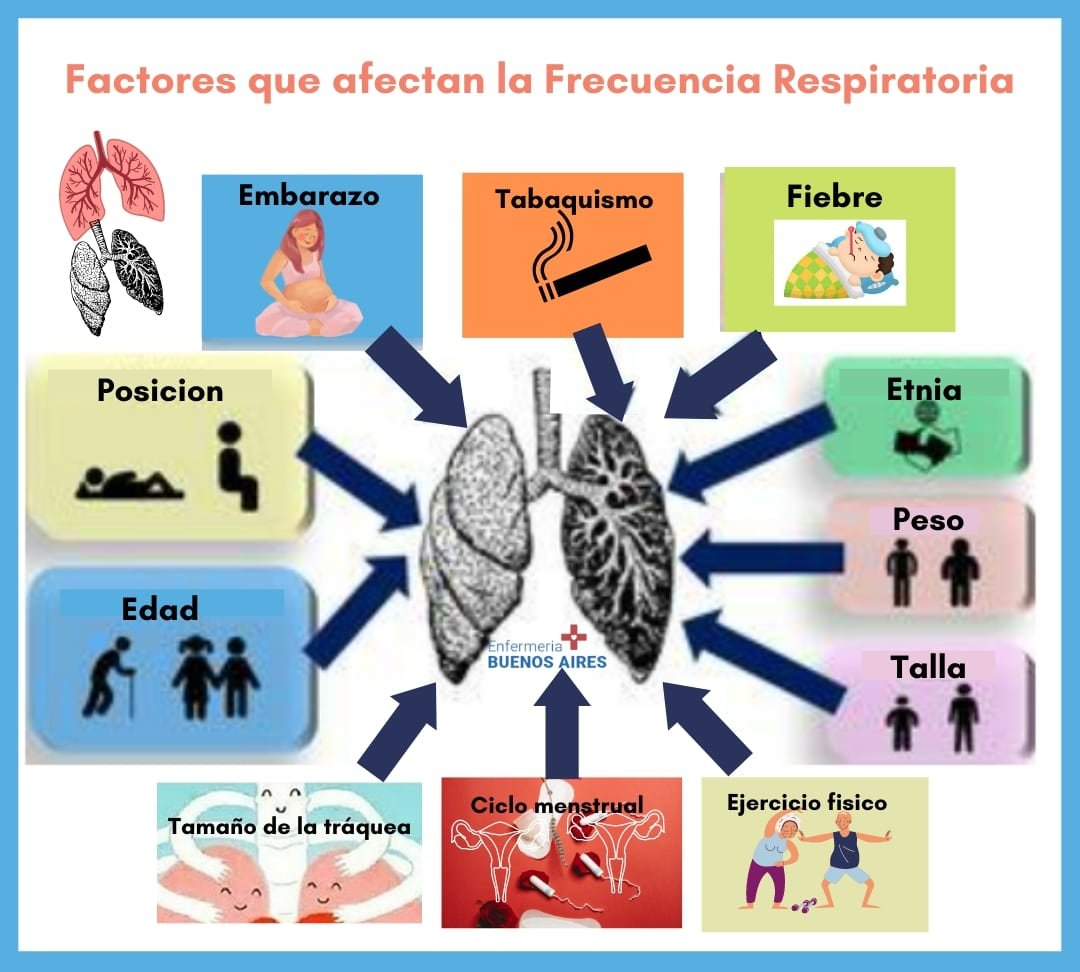 Frecuencia Respiratoria: Medición Efectiva de la Frecuencia Respiratoria 3 Frecuencia respiratoria