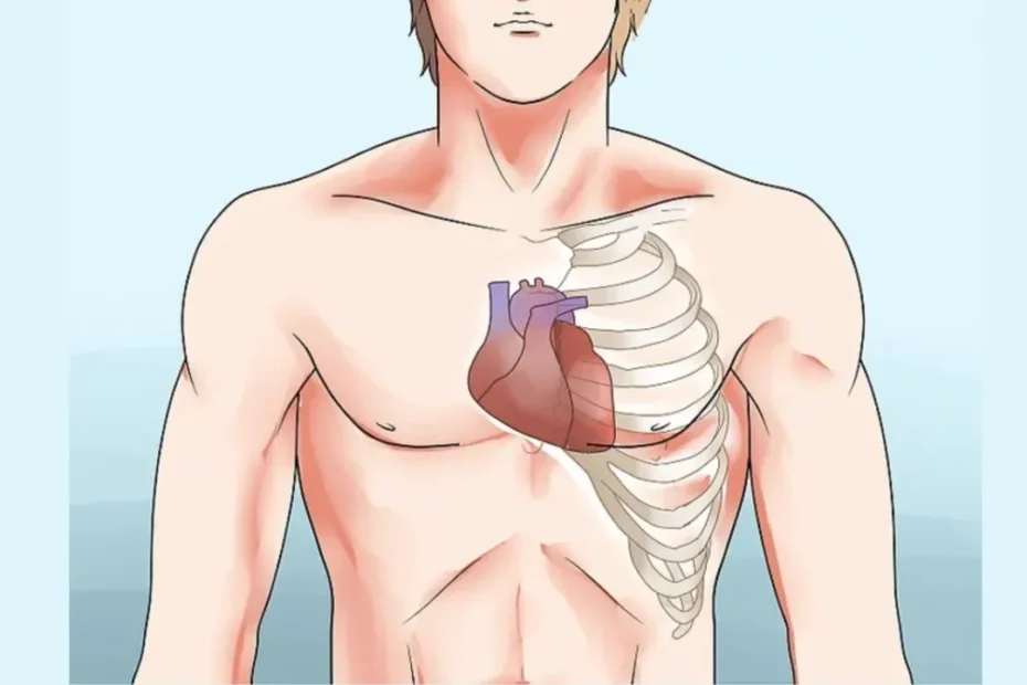 Frecuencia-cardiaca