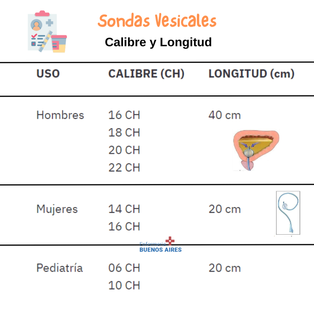 Sonda vesical 3 vias 1 Sonda vesical 3 vias