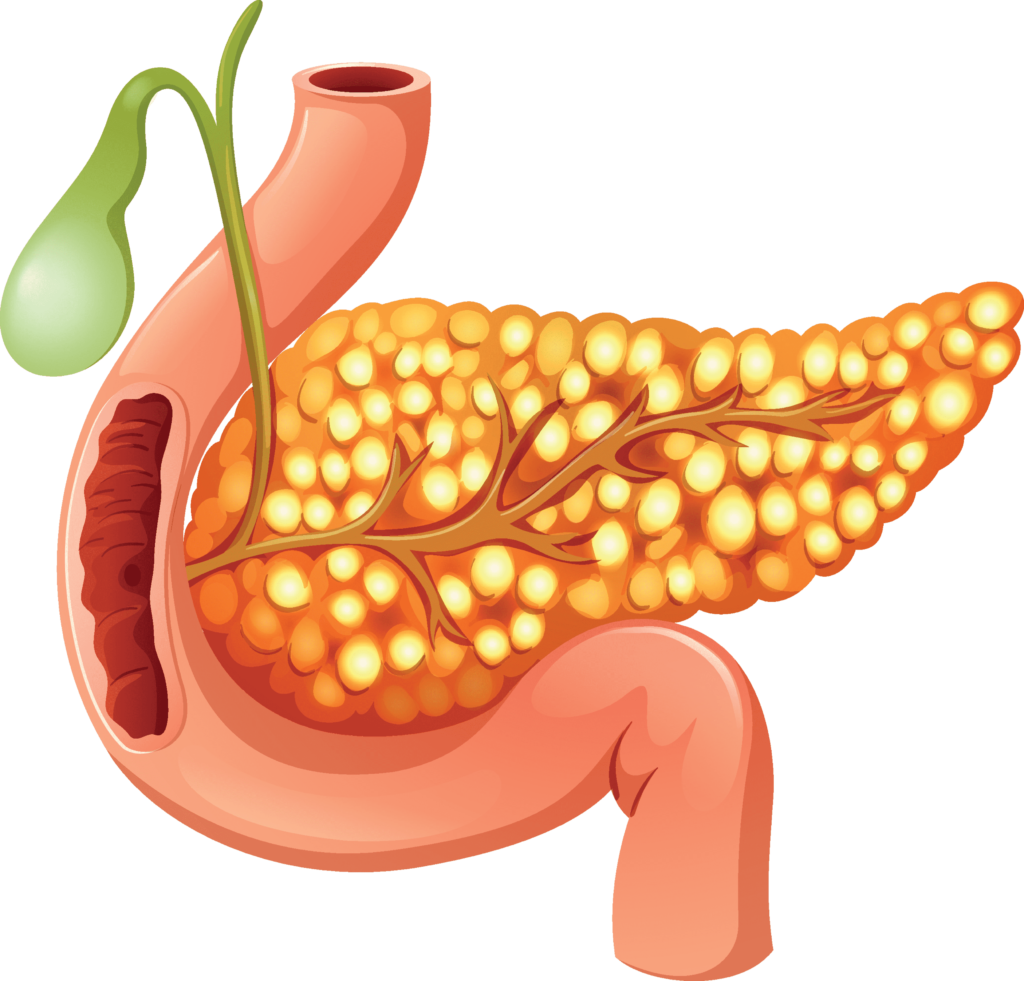 "Controlando la Diabetes: Consejos, Tratamientos y Prevención" 1 Diabetes